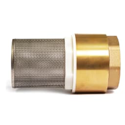 Valvula 2″ Canastillo Acero — miniatura 1
